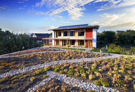 Obr. 21: Dokončený dům (pohled přes vegetační střechu garáže)