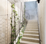 Schodiště z bílého betonu