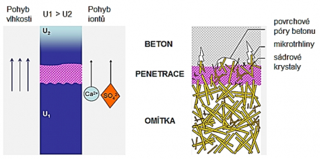 Obr. 1: Pevný spoj sádrové omítky s podkladem; U1 – čerstvě aplikovaná sádrová omítka; U2 – podklad – vyzrálý beton s vlhkostí pod 3 % hm. vlhkosti