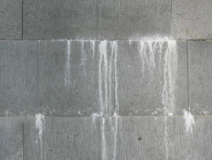 Obr. 3: Nevyzrálý podklad