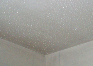 Obr. 4: Průnik vlhkosti do omítky