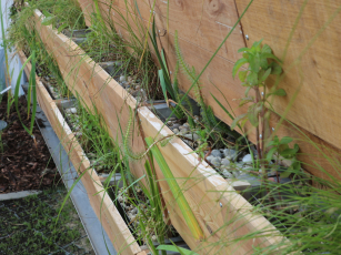 LIKO-Vo, Slavkov, foto Ondřej Mika