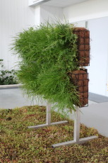 LIKO-Vo, Slavkov, foto Ondřej Mika