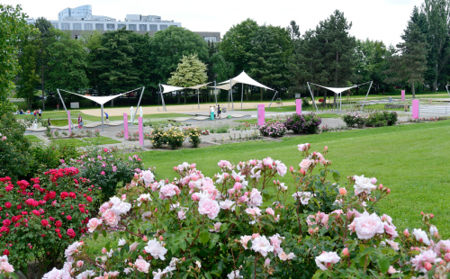 Olomouc, Rozárium – obnova