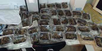 Využití pivovarských kvasnic jako přídavek do ekologicky šetrných hnojiv pro vyšší výnos rostlin