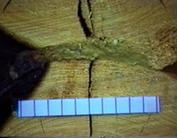 Obr. 8: Detail spoja zrubovej konštrukcie