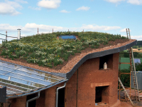 Obr. 10: Vegetační střecha