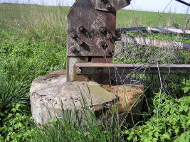 Obr. 1: Ukázky poškození patek