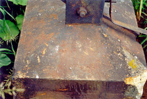 Obr. 2: Ukázky poškození patek