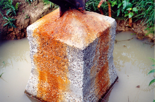 Obr. 3: Ukázky poškození patek