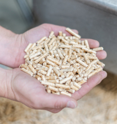 Skvělou alternativou topení klasickým dřevem jsou pelety – vysušené, do malých válečků slisované piliny