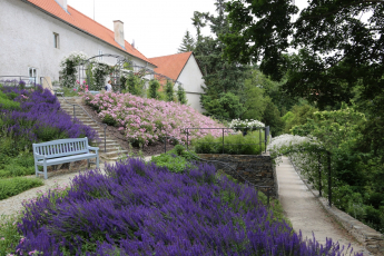 Obnova podzámeckého alpina v Průhonickém parku