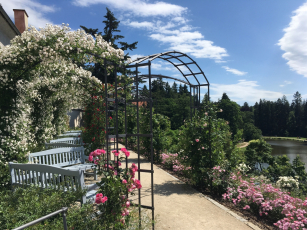 Obnova podzámeckého alpina v Průhonickém parku