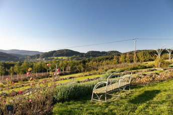 Lesopark Skalky Nový Jičín, foto Lukáš Pelech a archiv firmy Gabriel