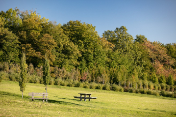 Lesopark Skalky Nový Jičín, foto Lukáš Pelech a archiv firmy Gabriel