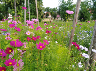 Velískova zahrada Zlín, foto archiv Acris a Zuzana Řezníčková