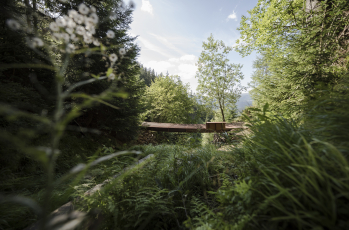 Lávka přes Hlubokou strouhu, foto Martin Čeněk