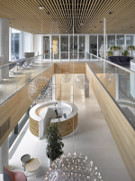 Převýšený prostor vstupního lobby