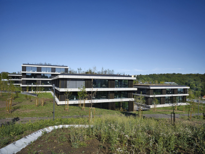 Komponovanou skladbu objektu odlehčují dvory se zahradami