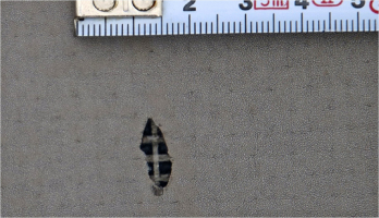 Obr. 8: Vypadlý kus fólie