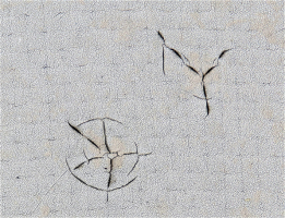 Obr. 9: Díry od krup