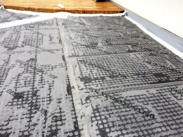 Chceme něco udělat pro životní prostředí? Udělejme ozeleněnou střechu