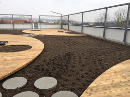 Chceme něco udělat pro životní prostředí? Udělejme ozeleněnou střechu