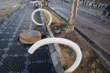 Ochranné boxy pro kořeny stromů ve městech