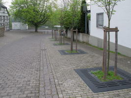 Podmínky udržení zelené infrastruktury ve městech