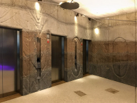 Palác DRN – barevné pruhy s otisky větví a lan