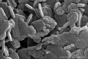 Obr. 3a: Morfologie nanovápna CaLoSil E 25 aplikovaného na Maastrichtský vápenec pozorovaná pomocí skenovacího elektronového mikroskopu při zvětšení: 240 000