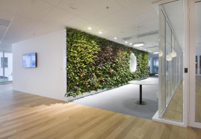 Skanska Corso: Uvnitř budovy společnost Němec instalovala své výjimečné kaskádové vertikální zahrady, jejichž výhodou je jednoduchá instalace, nenáročnost na obsluhu a skvělá cena