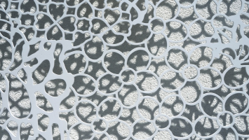 Výstavní galerie: stage garden GALLERY CREARS