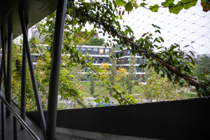 Ilustrační foto (zdroj: Česká rada pro šetrné budovy)