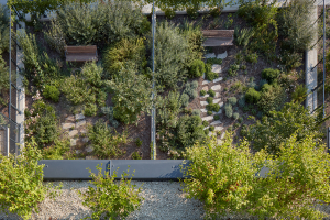 Rezidenční projekt Sakura