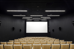 Slezská univerzita, fakulta rozhlasu a televize, Katowice, Polsko (© Adrià Goula)