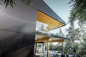 Dům W. v rakouském Linci