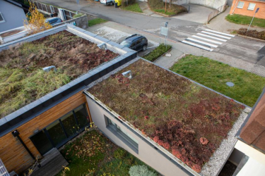 Stacionář OLGA, Říčany (foto: Rudolf Flachs)