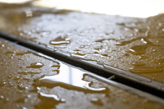 Farma Hole, výstavba sýrárny