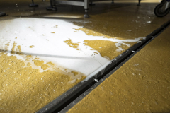 Farma Hole, výstavba sýrárny