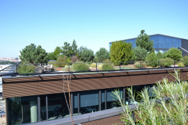 Intenzivní zelená střecha budovy Delta v Praze (zdroj: SZUZ)