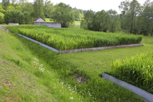 Inspirace z Rakouska – obecní přírodní čistírna