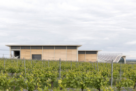 Výrobní haly: v první jsou provozy a zázemí výroby a zaměstnanců, druhá zahrnuje provozy s požadavkem na nižší teplotu – lisovnu, sklep a sklady lahvovaného vína