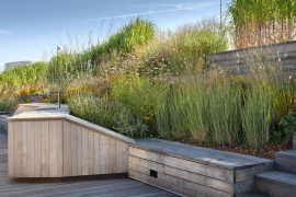 Střecha v centru Prahy