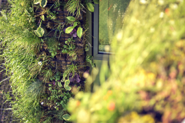 Další Čestné uznání v soutěži získala výrobní hala LIKO-Vo, která je začleněna do systému využití odpadní vody pro zavlažování