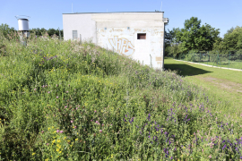 Střecha technického objektu je využita pro zvýšení biodiverzity velkoměsta.