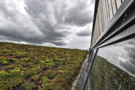 Extenzivní střecha a kořenová čistírna