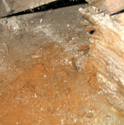 Obr. 9: Detail hnilobně destruované pozednice