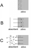 Obr. 4b: princip „falešného líce“: A – výchozí stav, B – po navlhčení povrchu zdiva a nanesení absorbentu migrují rozpustné soli do hloubky zdiva, C – při vyrovnávání koncentrací a vysychání povrchu putují zpět do absorbentu.