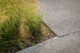 Inovační centrum Svatopetrská v Brně, zasakovací beton (foto: Vojta Herout)